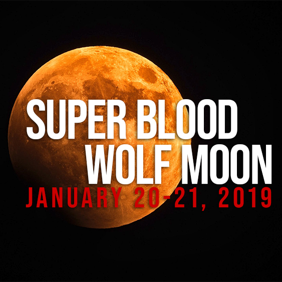 Image result for blood wolf moon january 2019