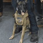 Bryant PD Retires "Stubby" the K-9 Officer After 5 Years