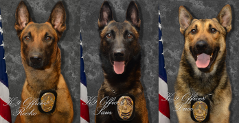 Benton PD Adds Two K-9 Officers, Sam and Rocko, to Make Three on the Force