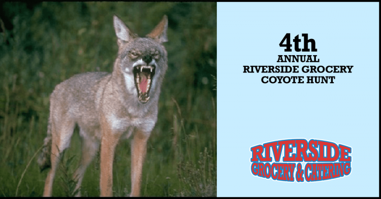 riverside coyote hunt