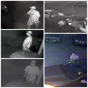 Can You Help Benton PD Find These 3 Car Theft Suspects?