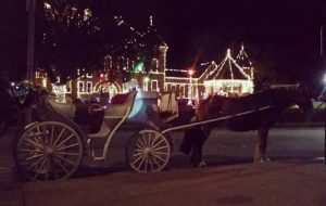 Enjoy Carriage Rides in Downtown Benton During the Holidays