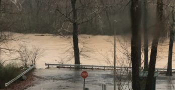 Reader Photos Show Flood Waters of Saline River