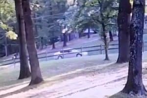 Surveillance Video Shows Benton Mail Theft Suspect