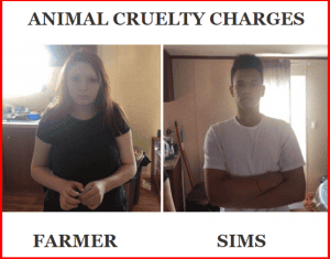 Two Charged with Animal Cruelty After Facebook Video Reported