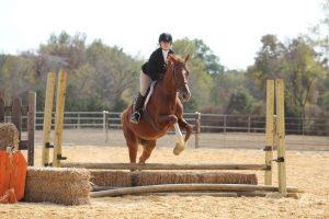Harmony in Hooves to Host Horse Show May 18th in Benton; Public Invited