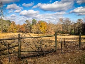 Picture of the Day: Farm on Highway 67