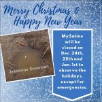 5 things to do on the MySaline website while we're closed for the holidays
