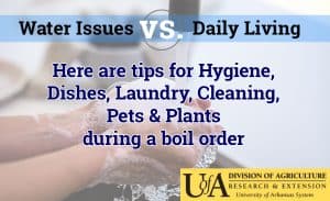 How to do daily things when there is a boil order - Hygiene, Dishes, Laundry, Cleaning, Pets & Plants