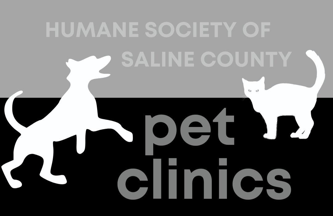 Make Humane Society appointments beginning the 1st of the month for Pet  Shots, Heartworm or Spay/Neuter Clinic - MySaline