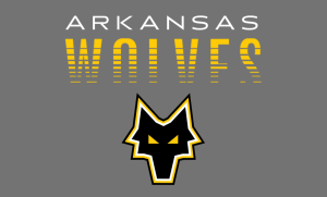 Game Info for Arkansas Wolves Semi-Pro Soccer 2022 Season at CW Lewis Stadium