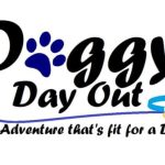 Take a shelter dog on a "Doggy Day Out" to give them love and help them get adopted August 23rd