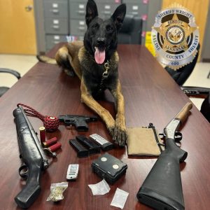 Sheriff's K-9 officer find drugs and weapons after traffic stop