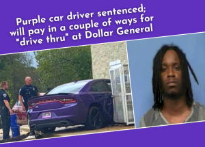 [VIDEO] Purple car driver sentenced; will pay in a couple ways for "drive thru" at Dollar General