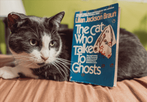You might like "The Cat Who Talked to Ghosts" if you can get past this main character