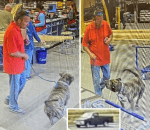 Bryant officials seek dog involved in bite incident at hardware store