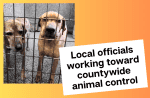 Local officials are studying the viability of a countywide animal shelter