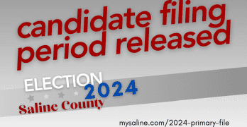 Local Candidates running in the Primary Election must file by the Nov 14 deadline