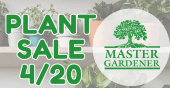 Master gardener plant sale April 20th 2024 at Saline County Fairgrounds 8am - noon