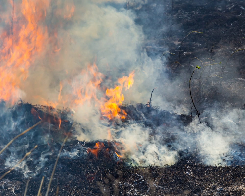 Saline County Judge issues immediate countywide burn ban due to severe wildfire risk
