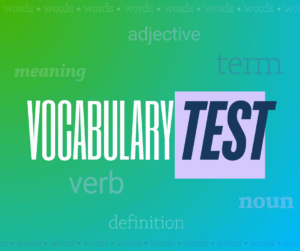 MySalineGames - Vocabulary Test