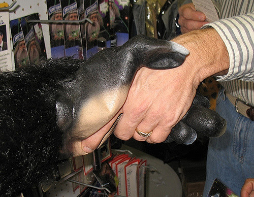 Gayla's Costume Shoppe photo gallery