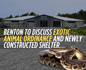 Benton to consider banning Gorillas, Lizards, Snakes and more, May 12th under proposed ordinance