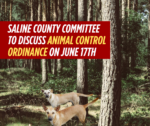 Saline County committee to work toward better Animal Control Ordinance in meeting June 17th