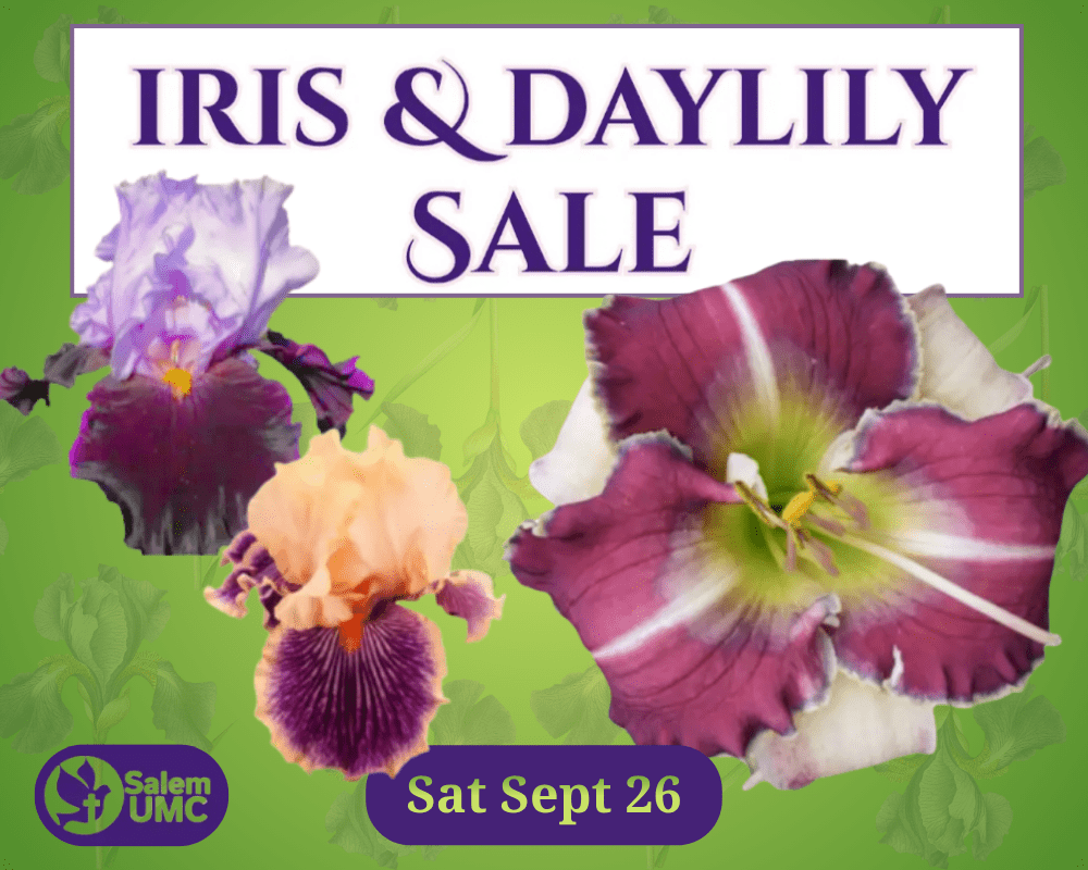 Annual Iris and Daylily Sale in Benton on Sept. 26 to feature over 120 plant varieties